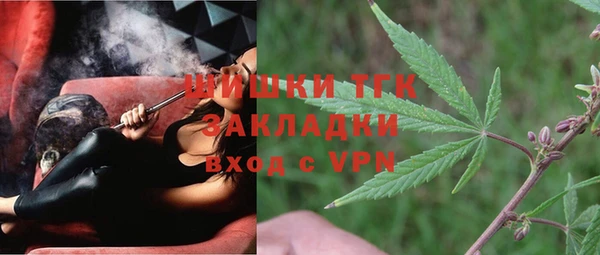 сатива Бородино