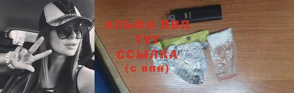 сатива Бородино