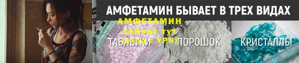 сатива Бородино