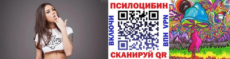 магазин  наркотиков  Кизляр  Галлюциногенные грибы Psilocybine cubensis 